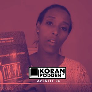 9 lögner om islam av en ex-muslim