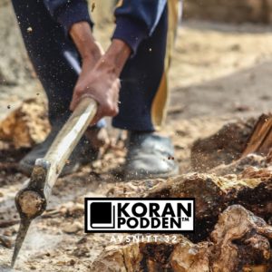 Hugg din egen ved: vägen till ekonomisk självförsörjning