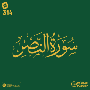 Surah an-Nasr