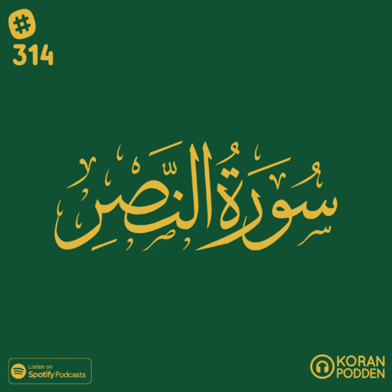 Surah an-Nasr